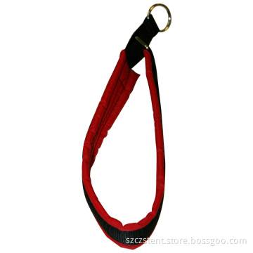 Dog Collar (ZHP-006)